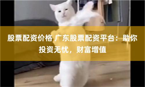 股票配资价格 广东股票配资平台：助你投资无忧，财富增值